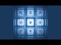 The Echo Chamber
