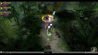 Dungeon SIege 2 SPEEDRUN - ONLY MAGES, ALL QUESTS (PART 2: Southern Greilyn Jungle)