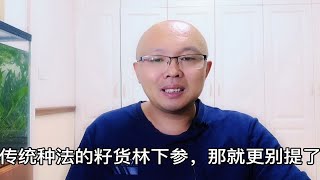 籽货林下参千分之一左右的存活率，人参的生命力这么差么？