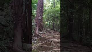 島根県 物部神社 御神陵へ参拝