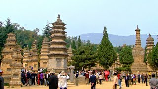 河南登封 - 嵩山少林景區7/15塔林 Songshan Shaolin Scenic Spot,  Dengfeng Henan (China)