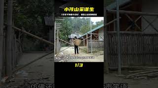 一條小人的奮斗路：7歲孩子上山采摘謀生的奇跡，詩意記錄解說