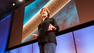 Visualizing Hidden Worlds Inside Your Body Dee Breger