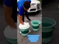 Two Bucket Method #cars #cardetail #carwash