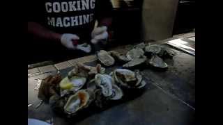 THIS is what you call an oyster bar.  Tallahassee, Florida