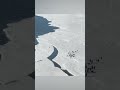 lone penguin almost gets separated from flock as ice breaks 😅