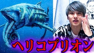 メガロドンを遥かに超える超巨大ザメ【都市伝説】