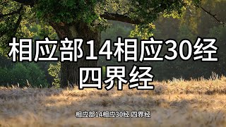 156.相应部14相应30经 四界经（白话佛经）解说