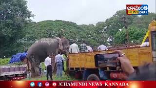 ಮೈಸೂರು ಅರಮನೆಯಿಂದ ಗಜಪಡೆಗಳ  ಬೀಳ್ಕೊಡುಗೆ