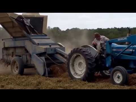 Picking Peanuts On The Farm In Eastern North Carolina Youtube