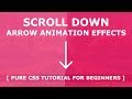 Css Scroll Down Animation - Pure Css3 Animation Effects - Custom Scroll Down Indicator Tutorial