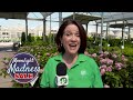 in the greenhouse moonlight madness nursery savings