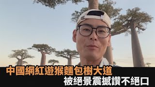 全球獨有奇景！旅遊網紅揭非洲「生命之樹」全貌　 笑讚：大自然太美妙－全民話燒