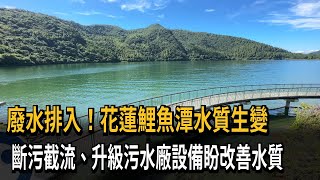 商家、住宅廢水排入潭 花蓮鯉魚潭水質生變－民視新聞