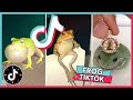 WELCOME TO FROG TIKTOK 🐸  TikTok Compilation 2020