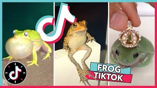 WELCOME TO FROG TIKTOK 🐸 TikTok Compilation 2020