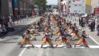 黒崎よさこい祭り 山口大学よさこいやっさん‼︎