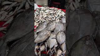 Ghazipur Fish Market, Delhi @DiaryNotes #youtubeshorts #shortvideo