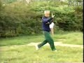 wen zhongshi youshen bagua lianhuan zhang