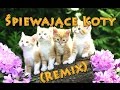 Śpiewające Koty & Twenty One Pilots - Heathens (Ozyrys remix)