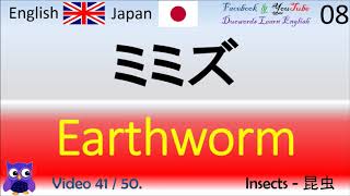 41 Insects 昆虫, 英語の単語, アンゴル言葉, 英語を学ぶ, アンゴル学び, 英語の語彙, 英語の文法, 英語の流暢, 英語の学習, 英語教育, 英語会話, 語学学習,