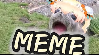 NENE SEAL MEMES COMPILATION #1