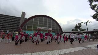 総踊り　第17回紀の国やっちょん祭り　1日目　広角Ver