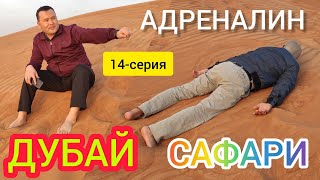 АДРЕНАЛИН  -  Дубайдагы САФАРИ  |  Дубайга САЯКАТ  |  14-серия