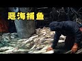 在海浪几乎与甲板齐平的海域捕捞鳕鱼，三天赚到普通打工人一年工资