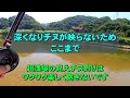 見えチヌ釣り（釣り歩き６）前打ちによる見えチヌ釣りは超浅場・晴天・無風・クリアウォータが数釣りできる好条件である事を紹介【前打ち／ヘチ釣り／落とし込み／河川／クロダイ／カニ／サイトフィッシング】