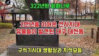 #옥전농부 #2만년을 이어온 역사 이야기#선사시대 유물발견#구석기시대 생활상과 유물들#322년된 회화나무#대구 달서구 한샘공원