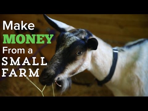 How to Make Money on a Small Farm How to Make Money on a Small Farm