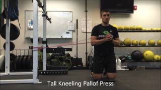 Resilient Performance PT - Tall Kneeling Pallof Press