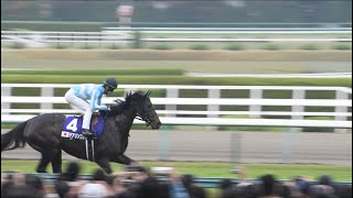 デアリングタクト 返し馬 場内から拍手喝采 2022 エリザベス女王杯【現地映像】