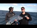 ifishtv marion bay samson fish u0026 red bight fish