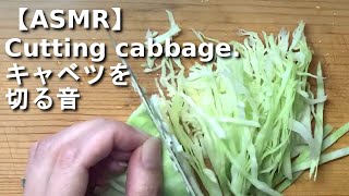 【ASMR 音フェチ】包丁で野菜（キャベツ）を切る音　sounds of cutting vegetables（cabbage）.