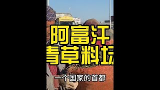 #dou上热门 文化上比较大的差异，导致捡漏机会蛮多#阿富汗#热门话题#巨量算数#海外生活@抖音创作小助手 @抖音原创保护中心 @抖音媒体内容优推官 @抖音热点宝@抖音创作者大会