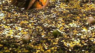 The Hobbit An Unexpected Journey Smaug attacks Erebor 2012