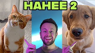 HA HEE 2 special - Chai x Mama Dog x Spaul ( singing cat THE KIFFNESS style HAHENG )