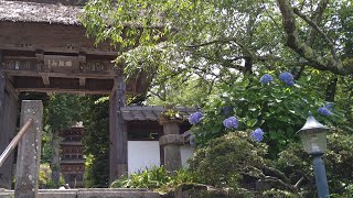 【前山寺-無言館】 Zensanji Temple  - Nagano Ueda Shioda Plain・Japan 4K Walk