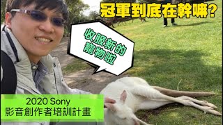 冠軍到底在幹嘛!? | 2020 Sony 影音創作者培訓計畫 |ChampKnows【冠軍知道】