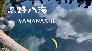 【山梨】天然記念物忍野八海の景色を見ながら散歩（愛犬ACEと夫婦旅）