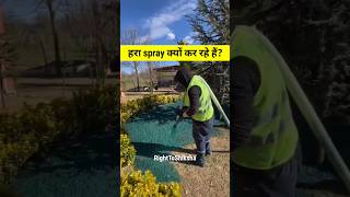 लोग मैदानों में हरा रंग spray क्यों कर रहे हैं? By Right to Shiksha