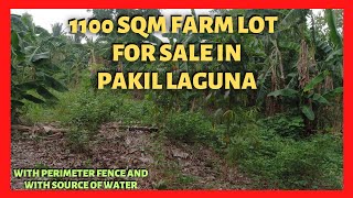 1100 sqm Farm Land in Pakil Laguna for Sale (Lot Code: 2345)