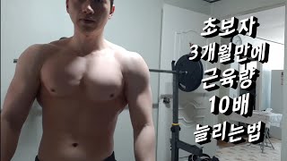 헬스초보자 3개월만에 근육량 10배늘리는법