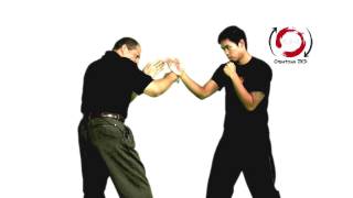 Jeet Kune Do: Trapping to Grappling (by request)