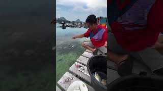 Mancing sore di dermaga