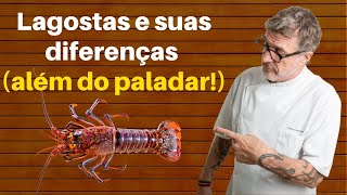 VOCÊ SABIA QUE AS DIFERENÇAS ENTRE AS LAGOSTAS NÃO ESTÃO SÓ NO PALADAR?