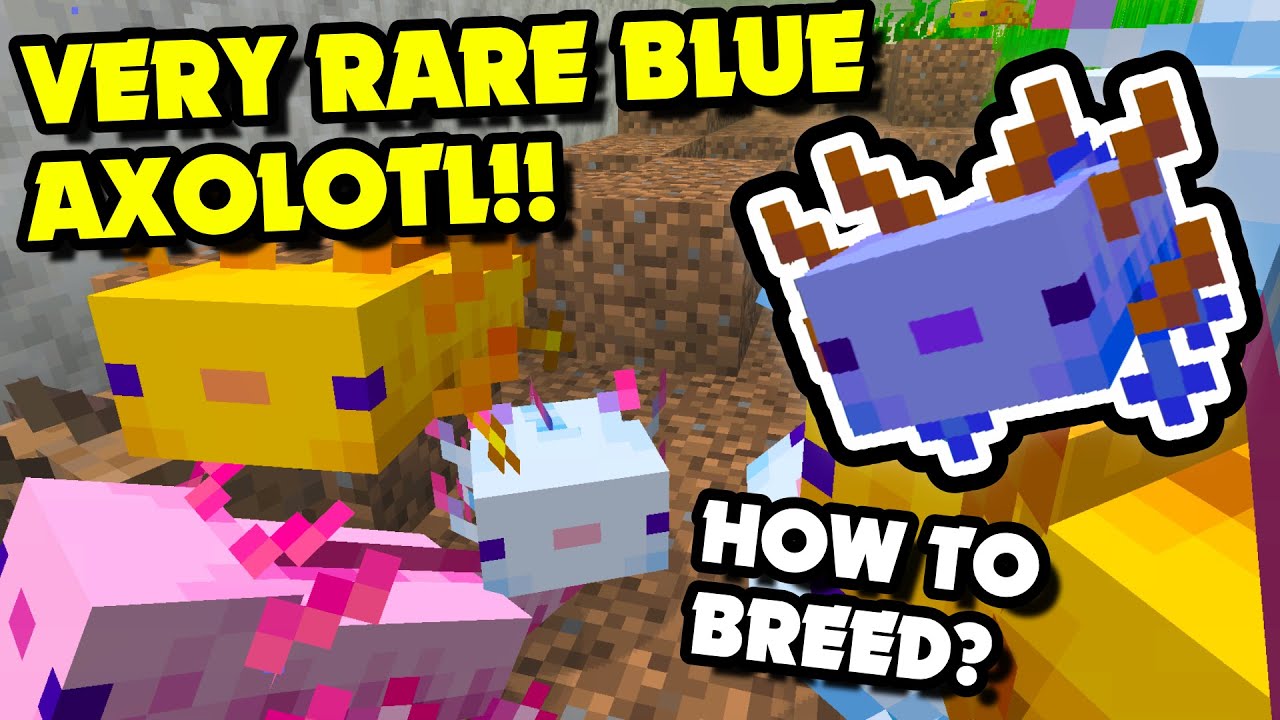How To Get Breed Axolotls How To Get A Blue Axolotl Minecraft