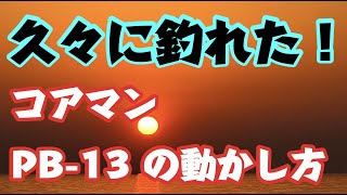 久々のシーバス。この時期有効！マイクロベイトパターン。コアマンPB-13の私流動かし方、巻き方